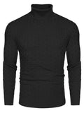 Casual Slim Fit Turtleneck Pullover Sweaters (US Only) Sweaters coofandystore Black S 